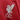 Liverpool 2023-2024 Home Shirt